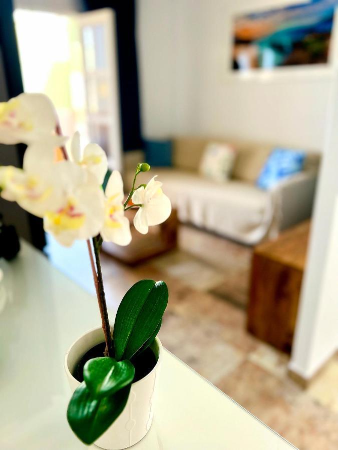 Cosy, New Studio In Costa Adeje エクステリア 写真